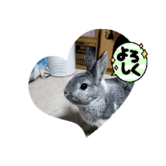 NAO_20230121155528
