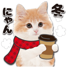 かわいい猫♡冬♡ねこ♡ず〜っと使える