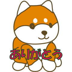 Shiba Inu dog greeting 01