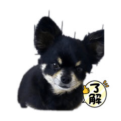 JUNKO_20230121221507