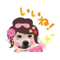 suzu_20230122085110