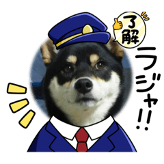 suzu_20230122075245