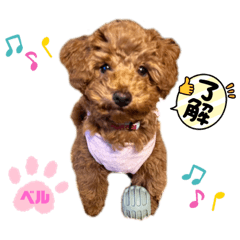 YUKA_20230121191712