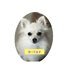 nao_20230121204424