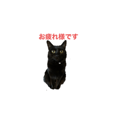 ruby_20230121232050
