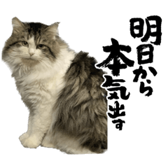 cream_20230121225959