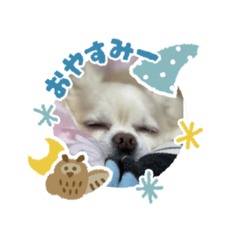 hana_20230122100142