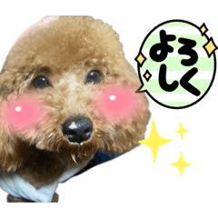 Mizuki_20230122021846