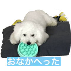 Ruru_20230122143956