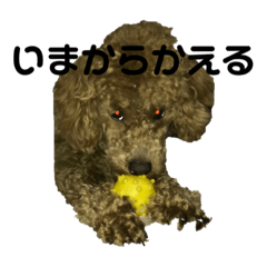 kkkkkaaaaaa_20230122172646