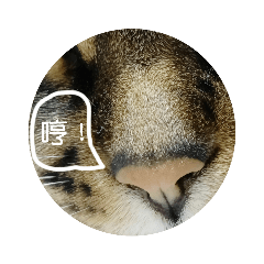 Puffy-帕妃-我的霸氣人生！