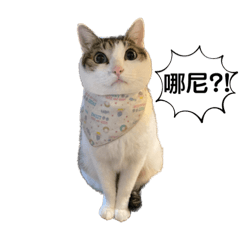 麥麥日常vol.2