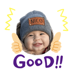 Nico Krub