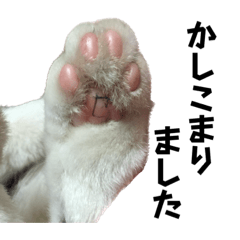 Sadako88_20230123103014