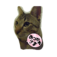 FuwA_20230122225724