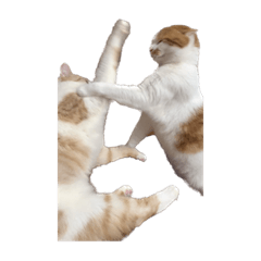 msk_20230123001915