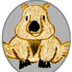 Wombat Daily 1