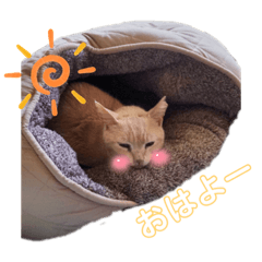 yuka_20230123092433