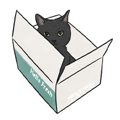 hanchi cat - black cat sticker