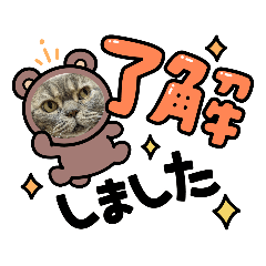 0514takumayuto