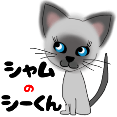 Siamese cat StickerAAA
