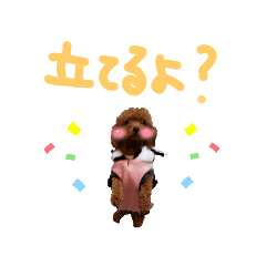 NOZOMI_20230122203740