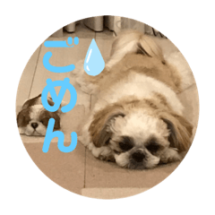 tono_20230122222906