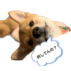 YUKA_20230123075221