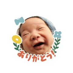 hikari_20230124065549