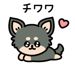 CHIWAWA BLACK(animation)