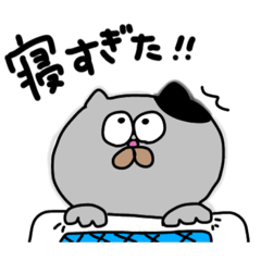 mufuneko_20230123153116