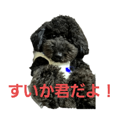 nao_20230123165303