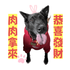 QQ與Roku