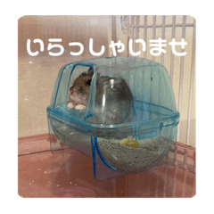 kana_20230123171052