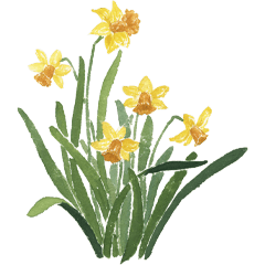 366 birth flower April