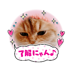 hana_20230123205540