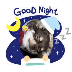 Alice_20230123194745