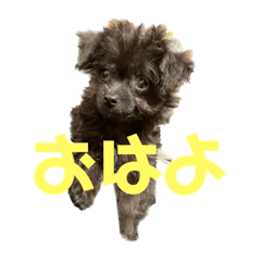 AOI_20230124050413