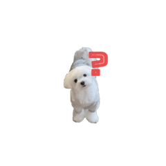 aoi_20230123223041