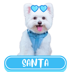 WOOFME WITH SANTA