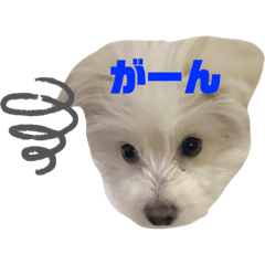 aoi_20230124121639