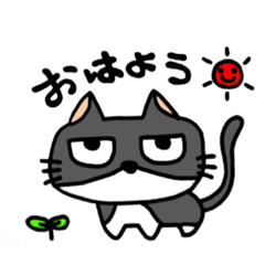 Happy cat hachiware boo-chan