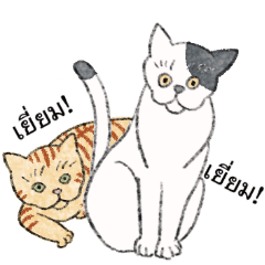 All you need is Cats-Thai ver.