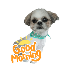 ikaru_20230125091134