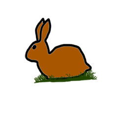 many hares that you find adorable