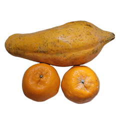 食物系列 : 一些橘子 & 木瓜