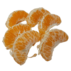 음식 : 만다린오렌지 #2