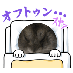 Kosuke_20230122135535