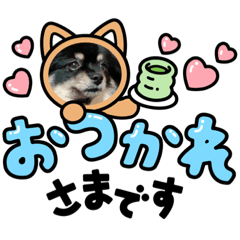 Rinsu_20230124202811