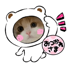 misa_20230124190149